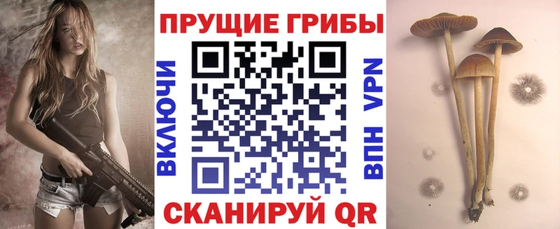 Галлюциногенные грибы Cubensis  Шацк 