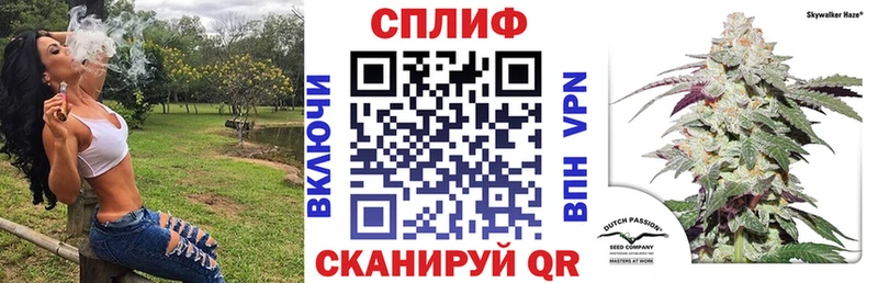 кракен ссылки  Шацк  Шишки марихуана сатива 